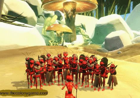 grandioseinfatuatedgraysquirrel